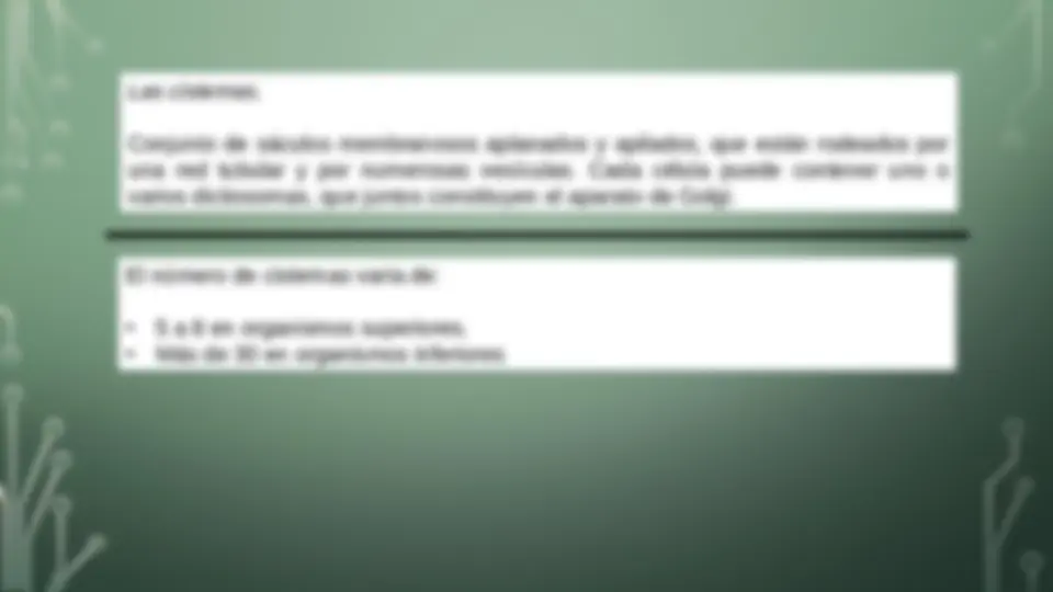 pfe