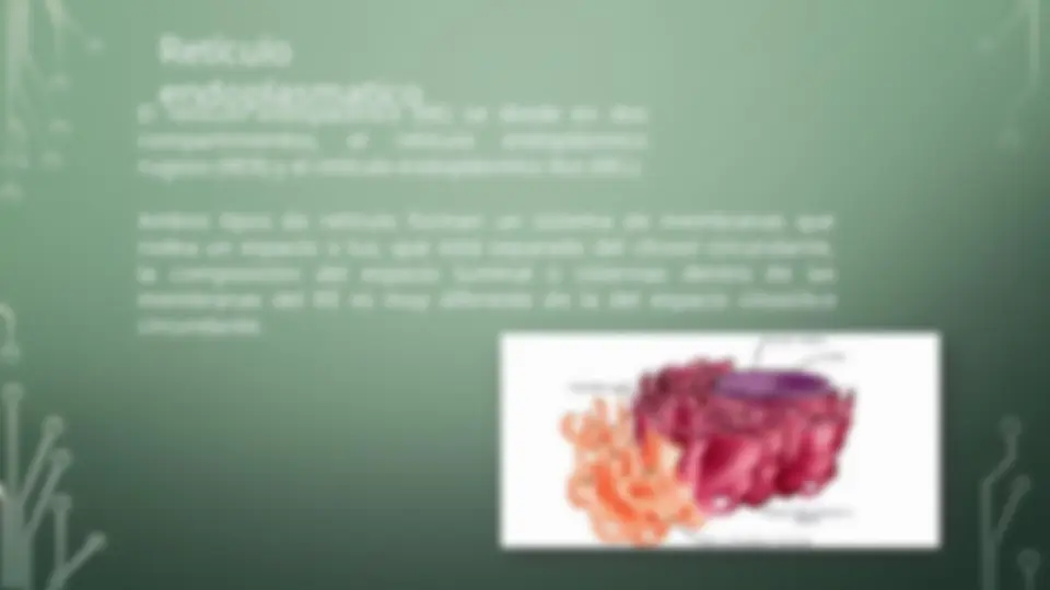 pf3