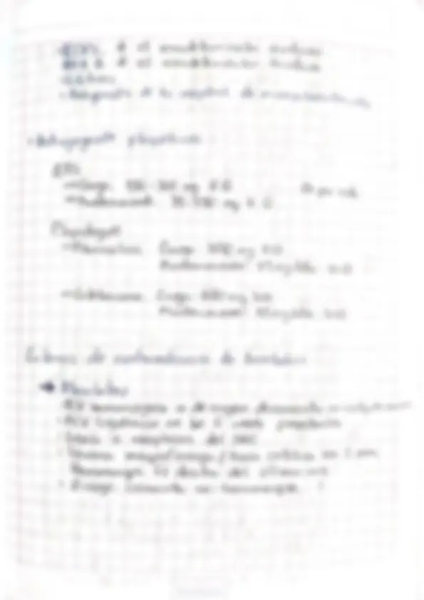 pf13