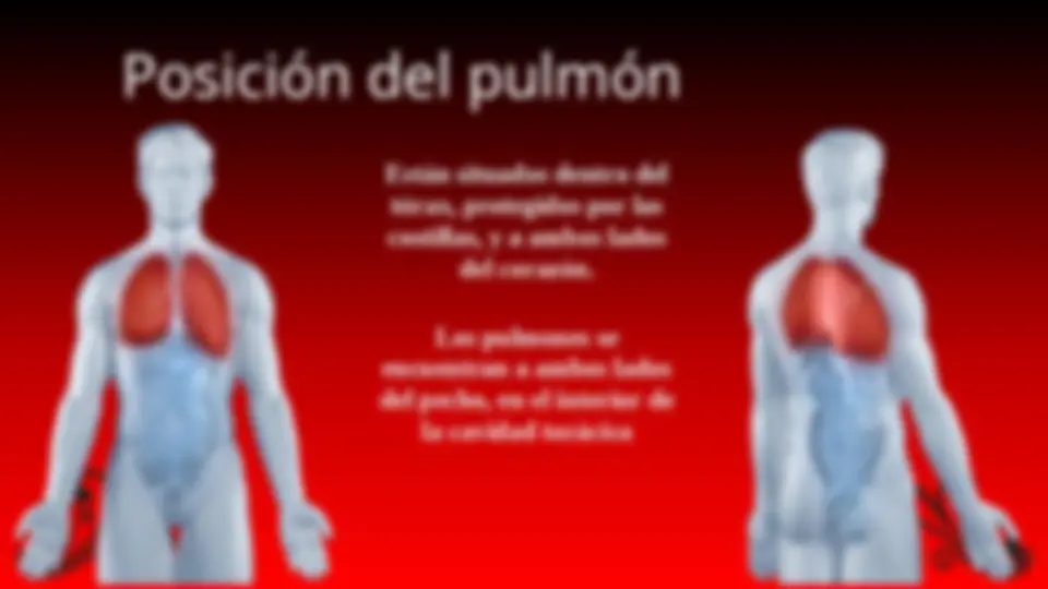 pf2d