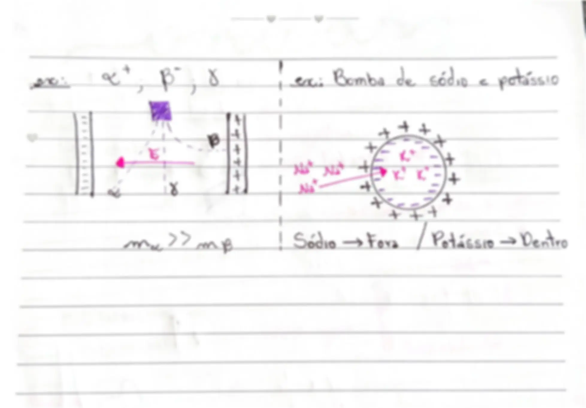 pf5