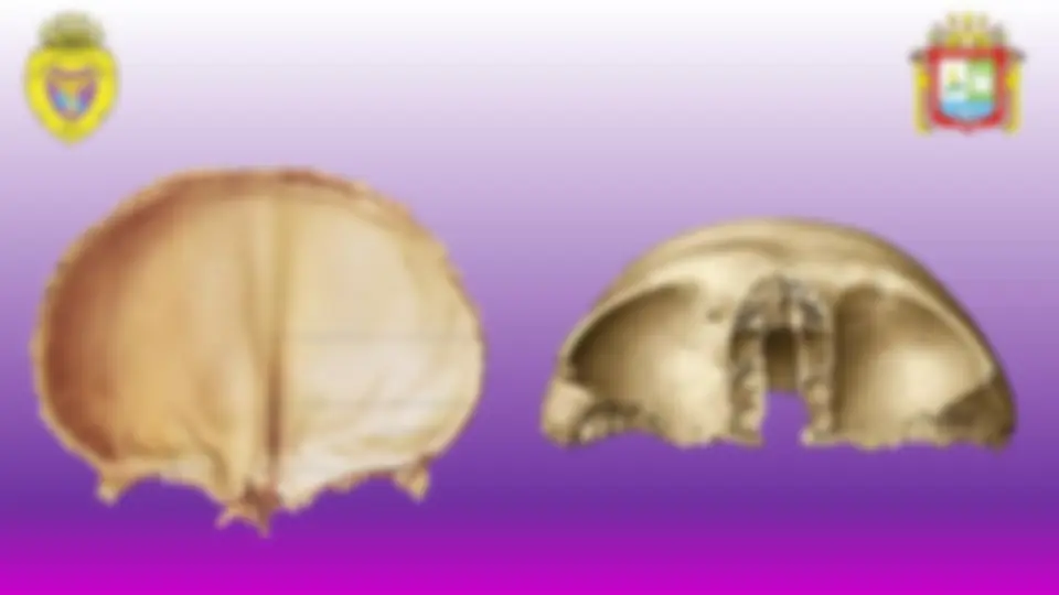 pf3