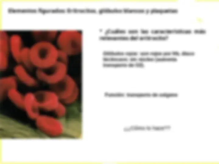 pf18