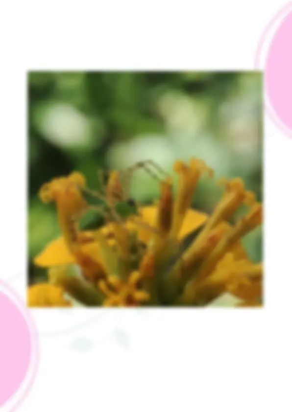 pf4