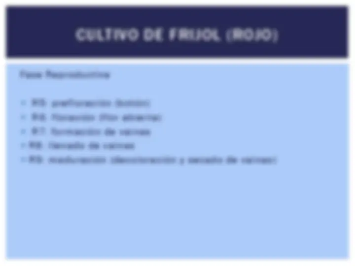pf19
