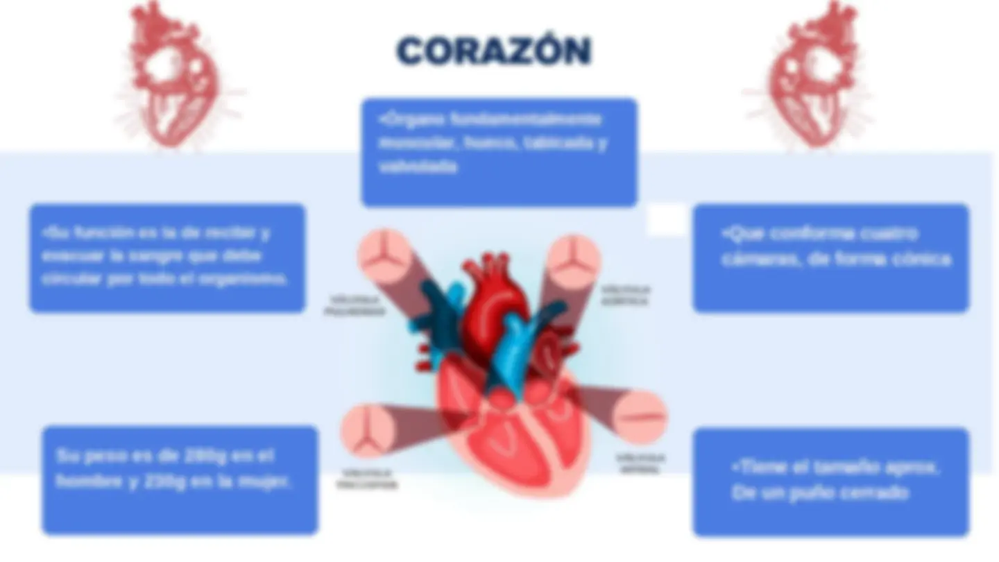 Map In Cardiology cardiovascular system | Schemes and Mind Maps Cardiology | Docsity