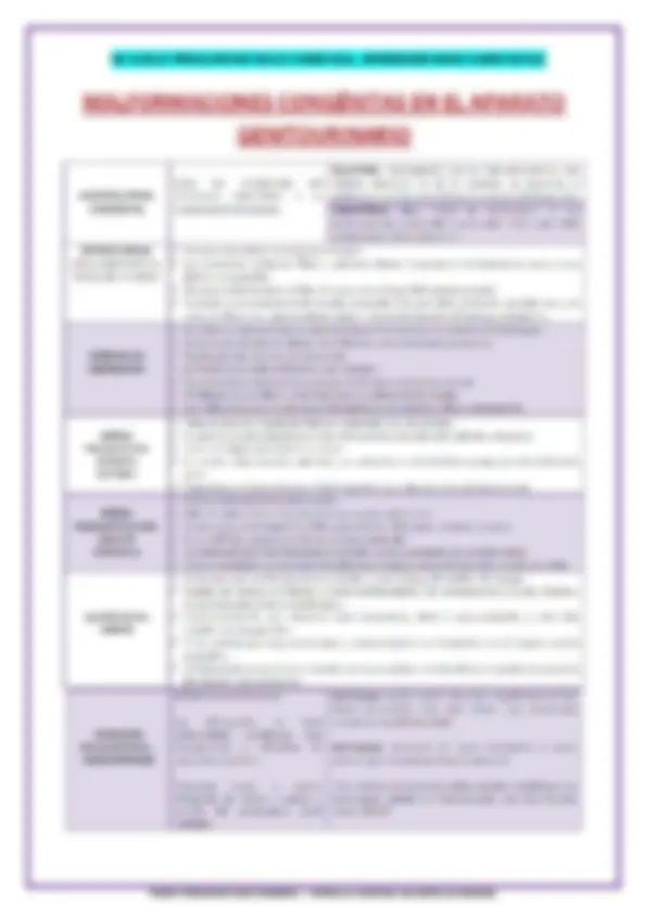 pf51