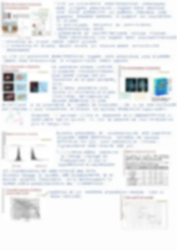 pf13