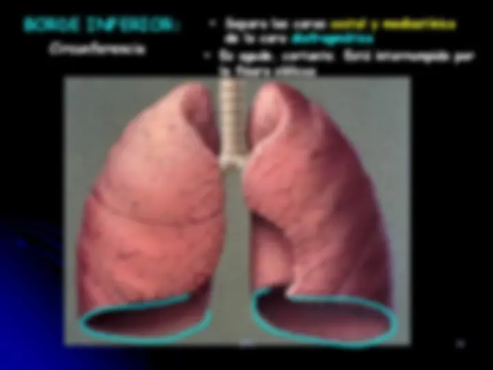 pfe