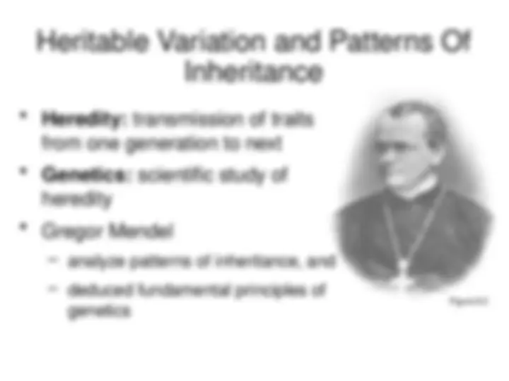 08_Chapter_8-Patterns_of_Inheritance.pptx | Lecture notes Biology | Docsity