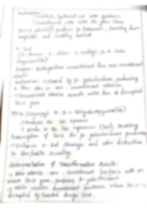 pf23