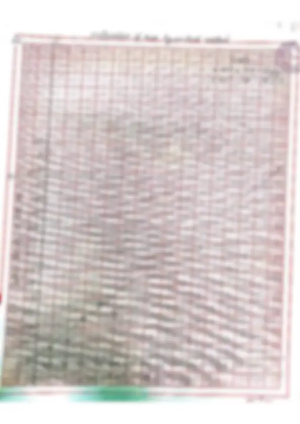 pf20