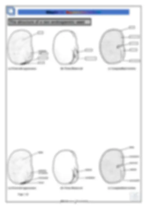 pf3f