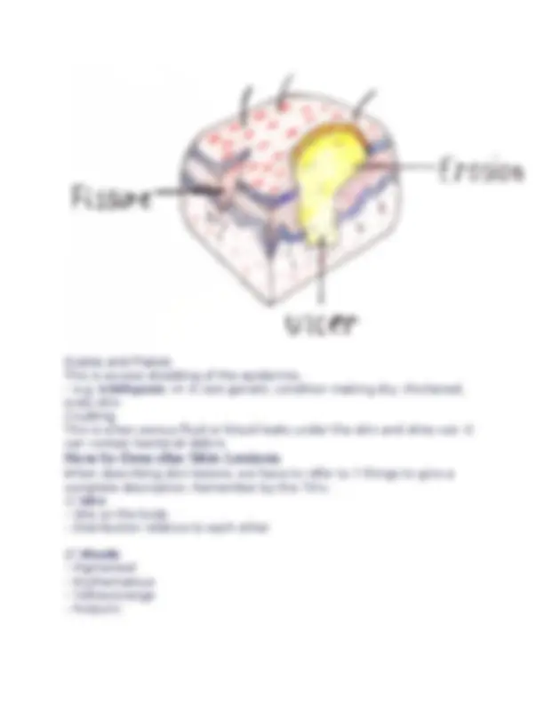 pf13