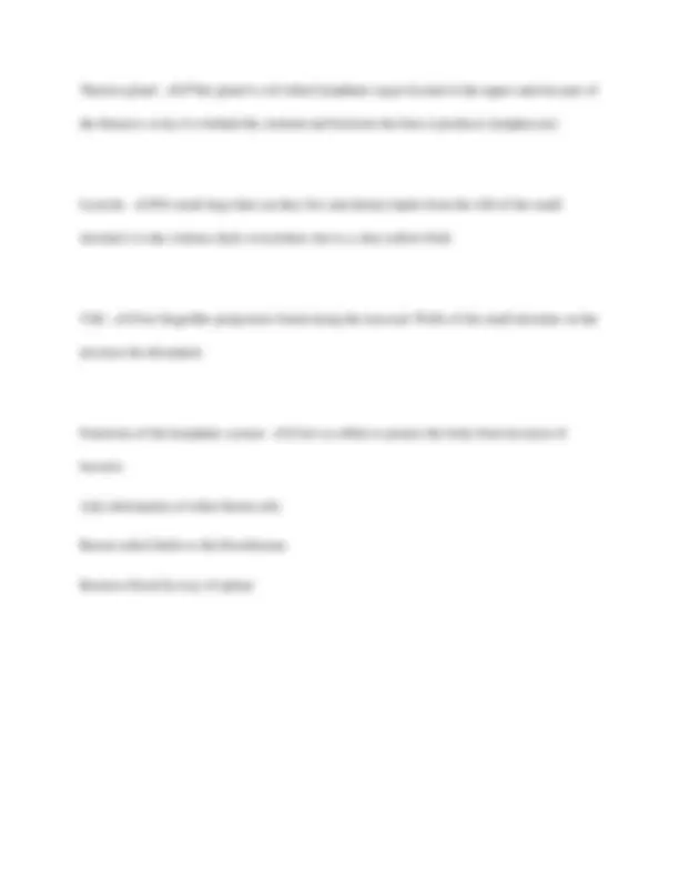 Anatomy and Lymphatic System Exam Q&A | Exams Anatomy | Docsity