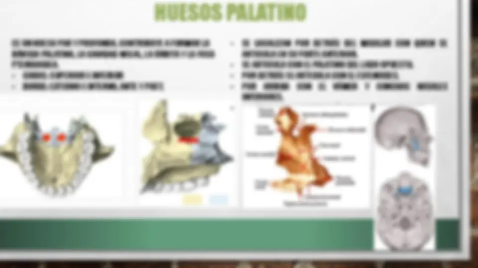 pf12
