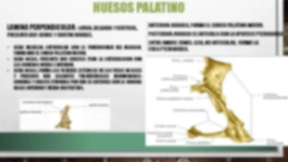 pf16