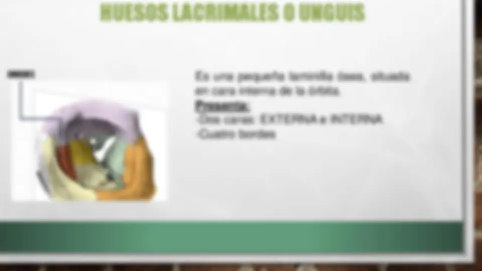pff