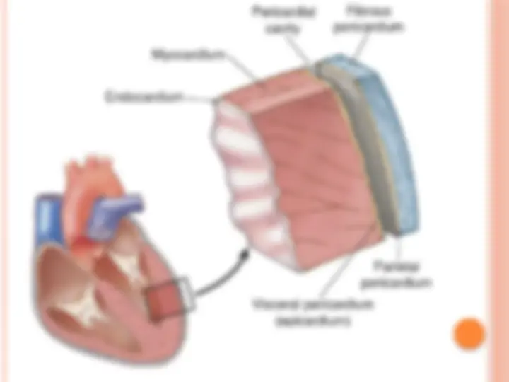 pfa