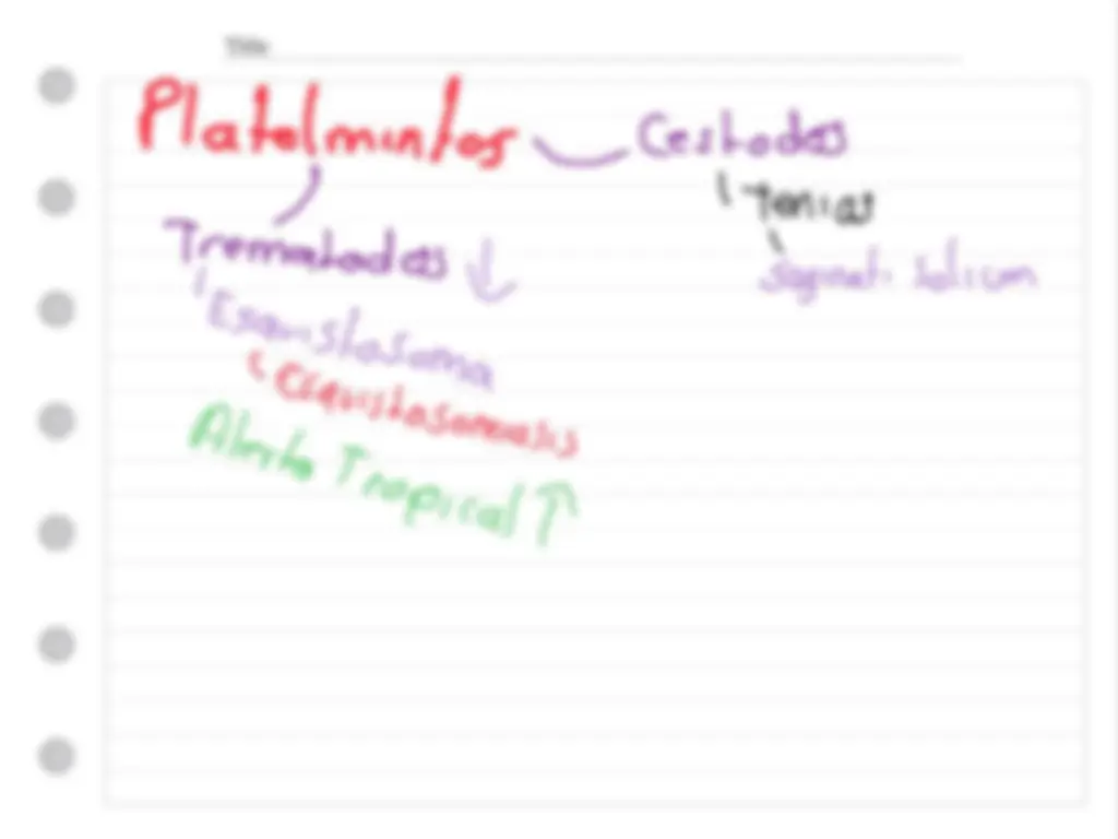 pf3