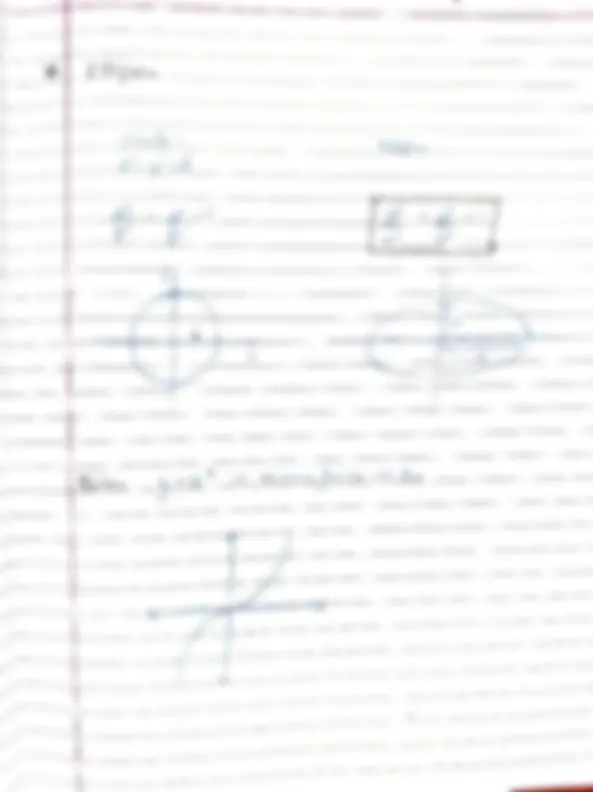 pf19