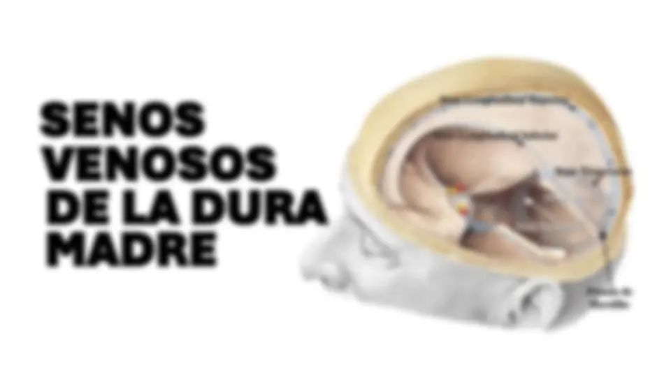 pff