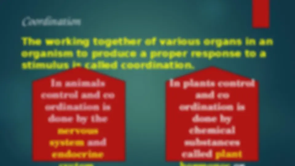 pf3