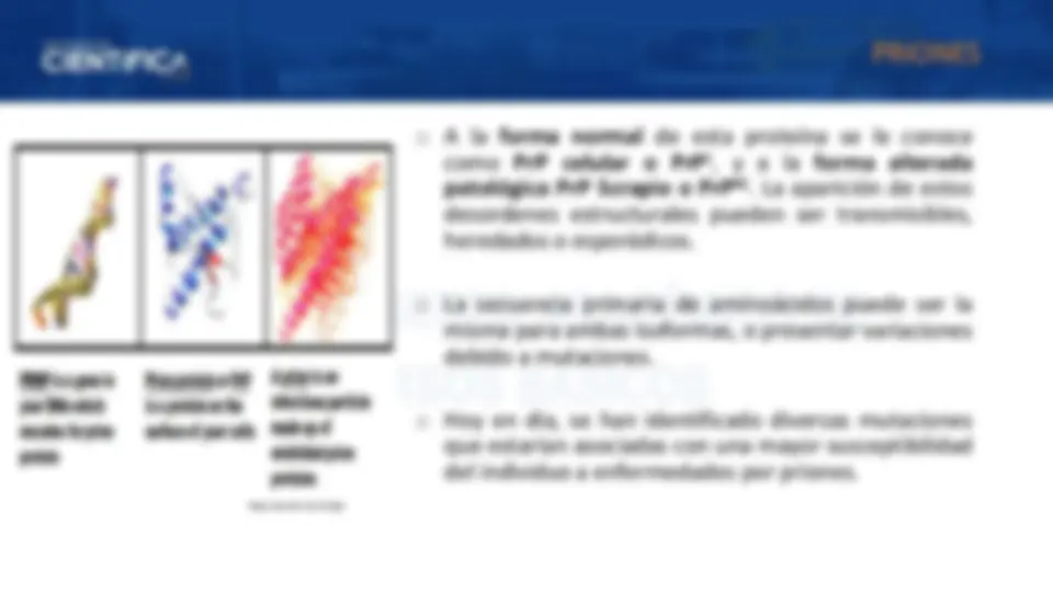 pf4