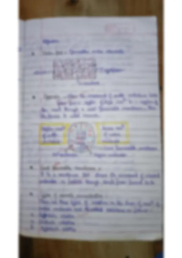 pf5