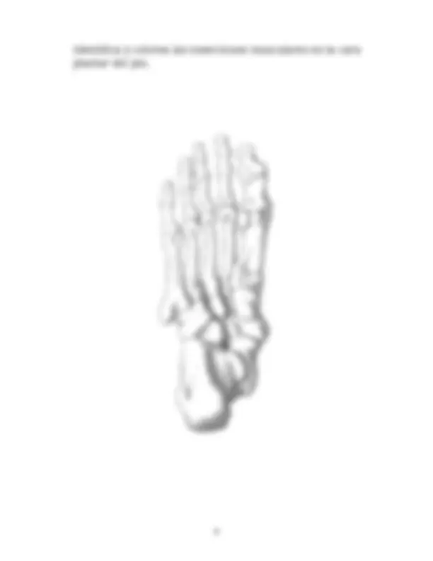 pf4