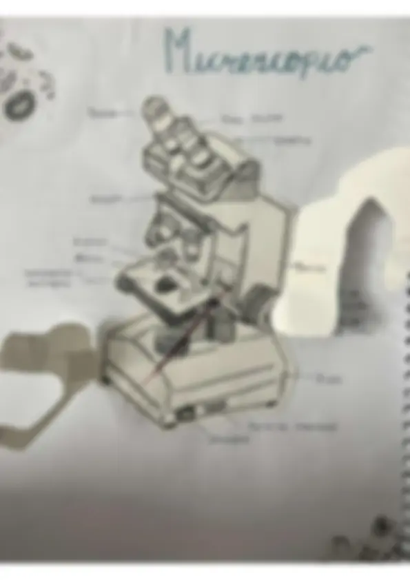 pf3