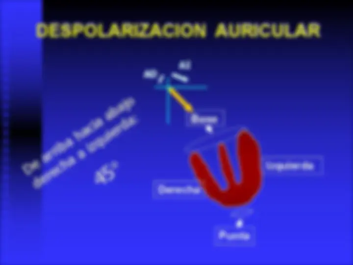 pf19