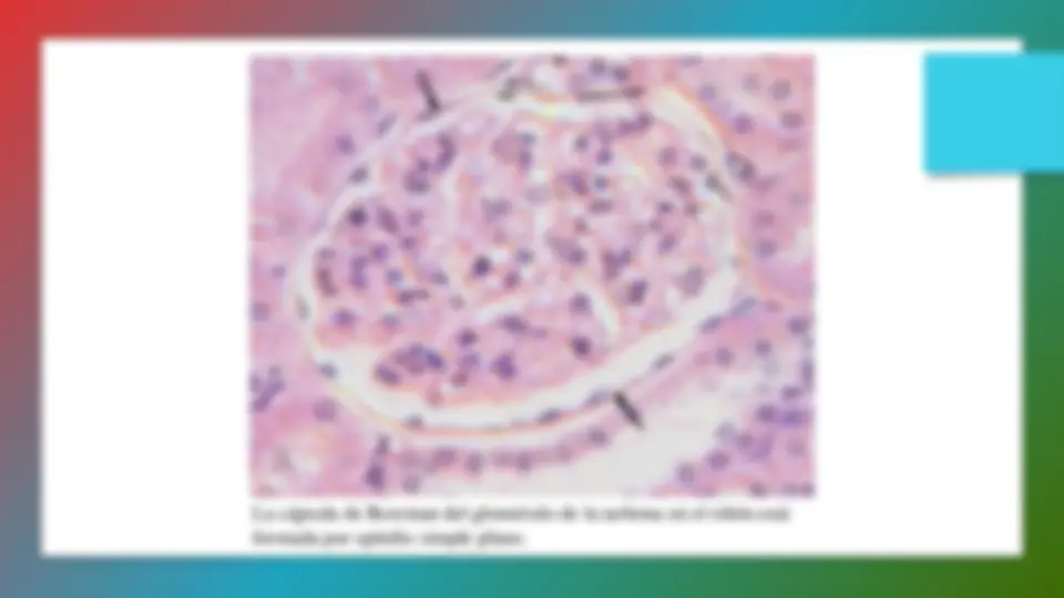 pf12
