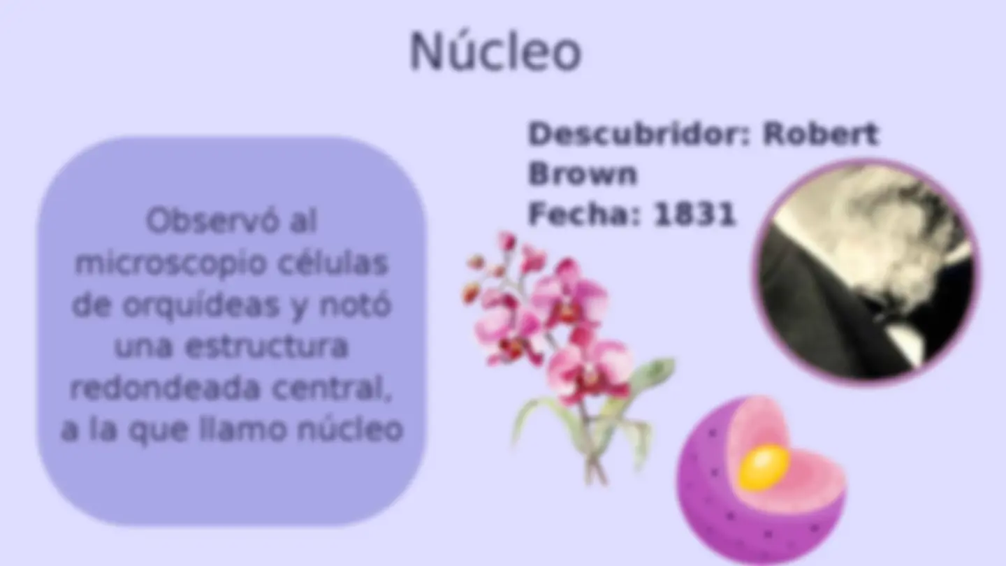 pf13