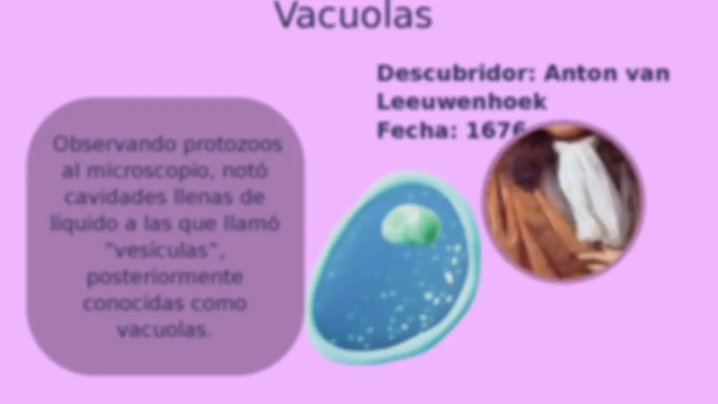 pf12