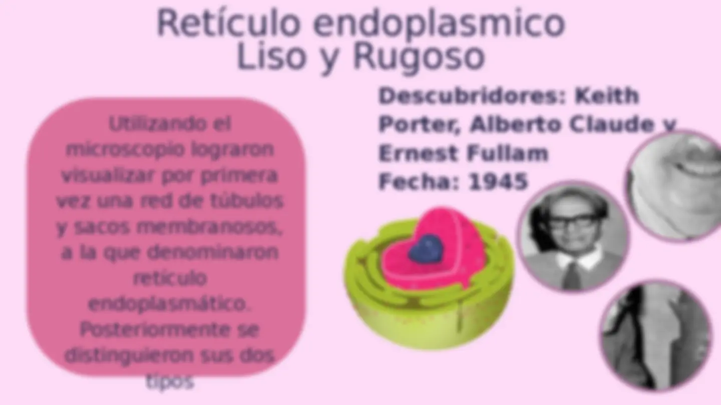 pf19