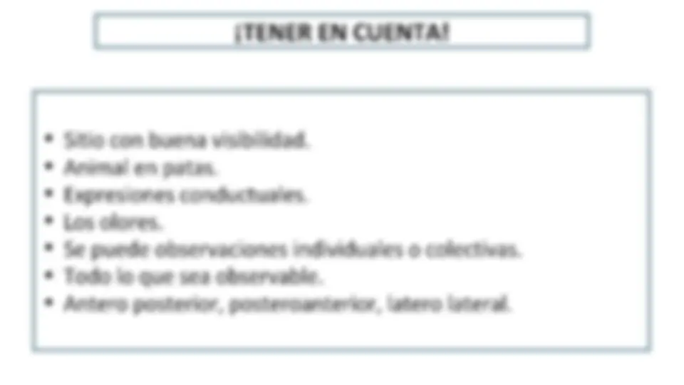 pf18