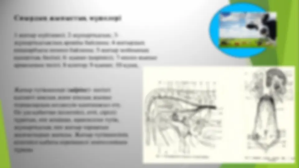 Пискаға қанша сияды?