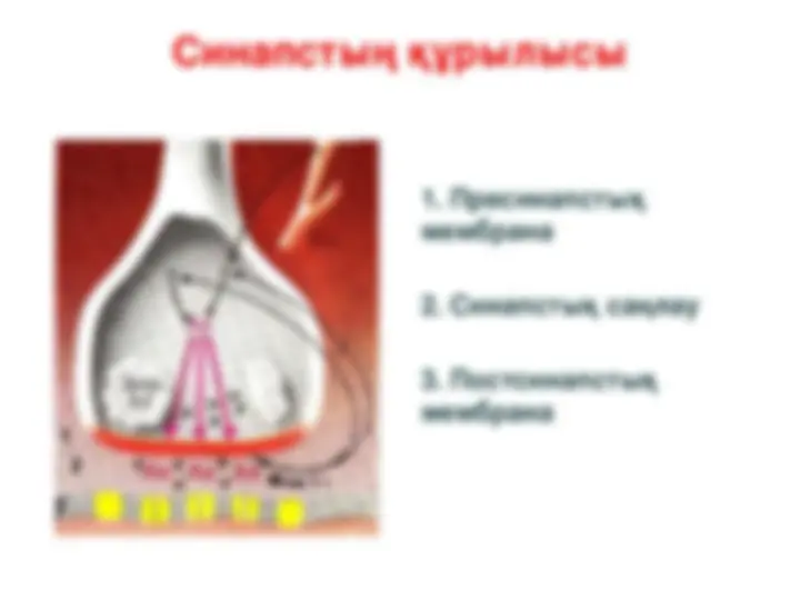 Алета Оушен бір уақытта екі еркекпен жыныстық қатынасқа түседі Жыныстық қатынас
