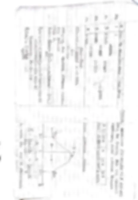 pf21