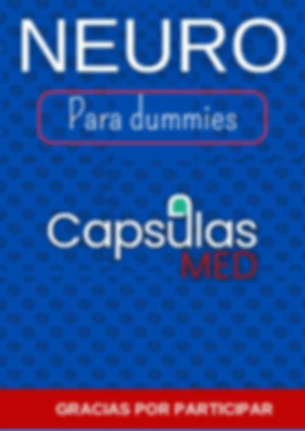 pf1d