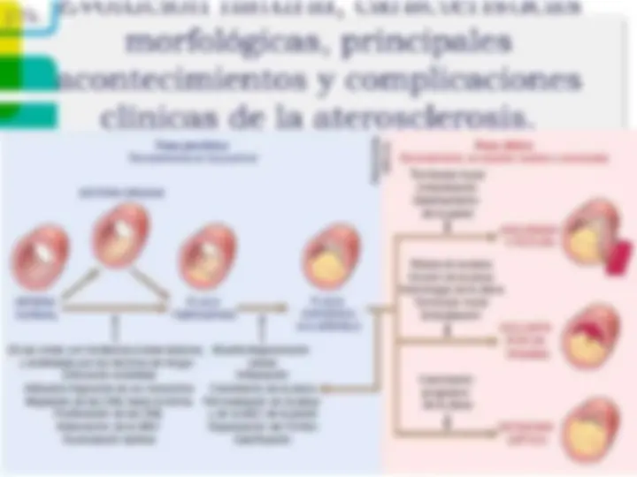 pf21