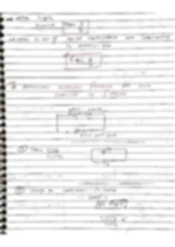 pf19