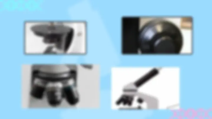 pf5