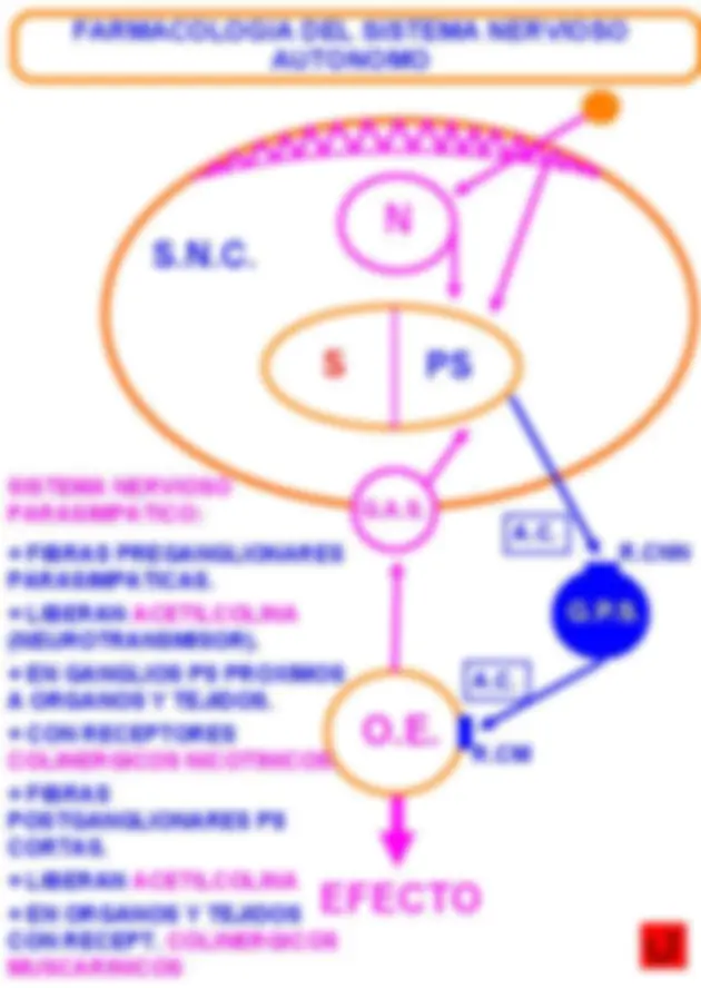 pf4