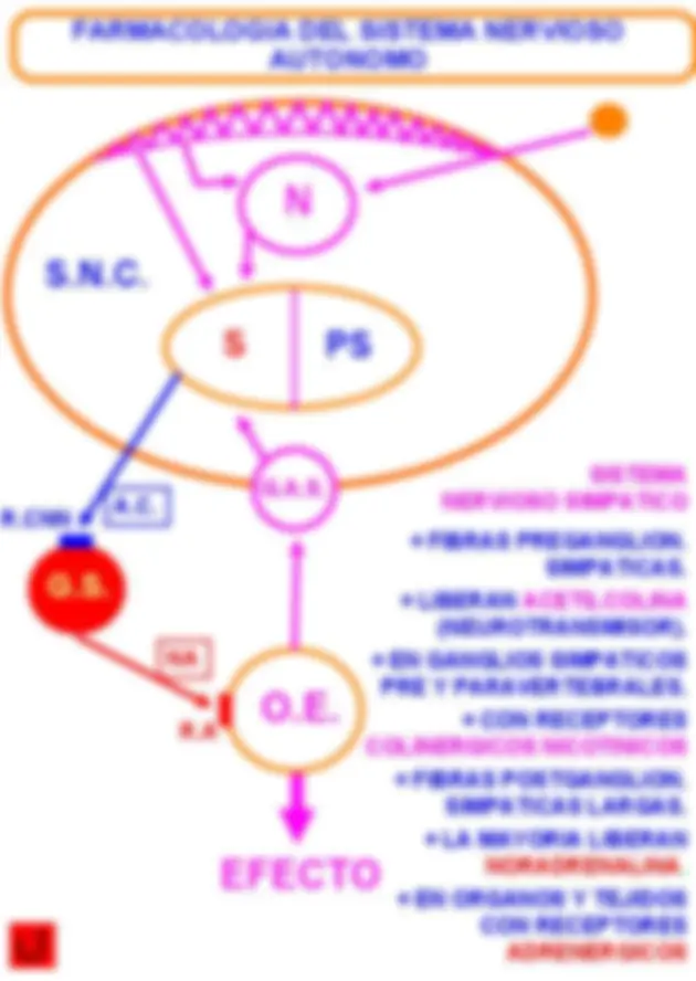 pf3