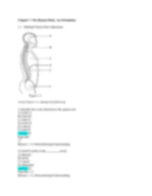 TEST BANK Essentials of human anatomy and physiology 13th edition ...