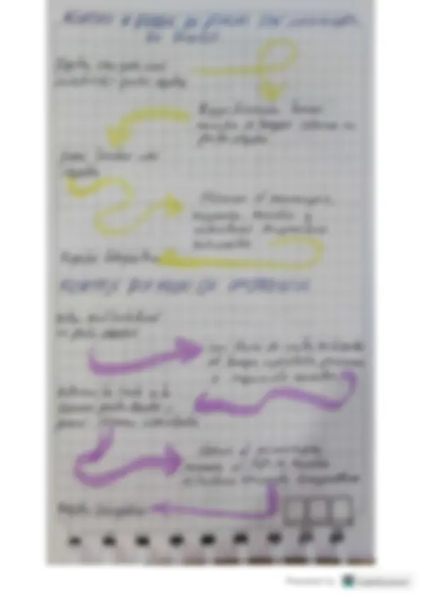 pf4