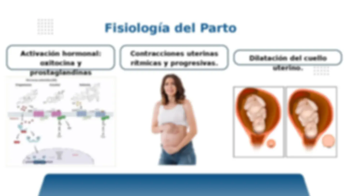 pf4