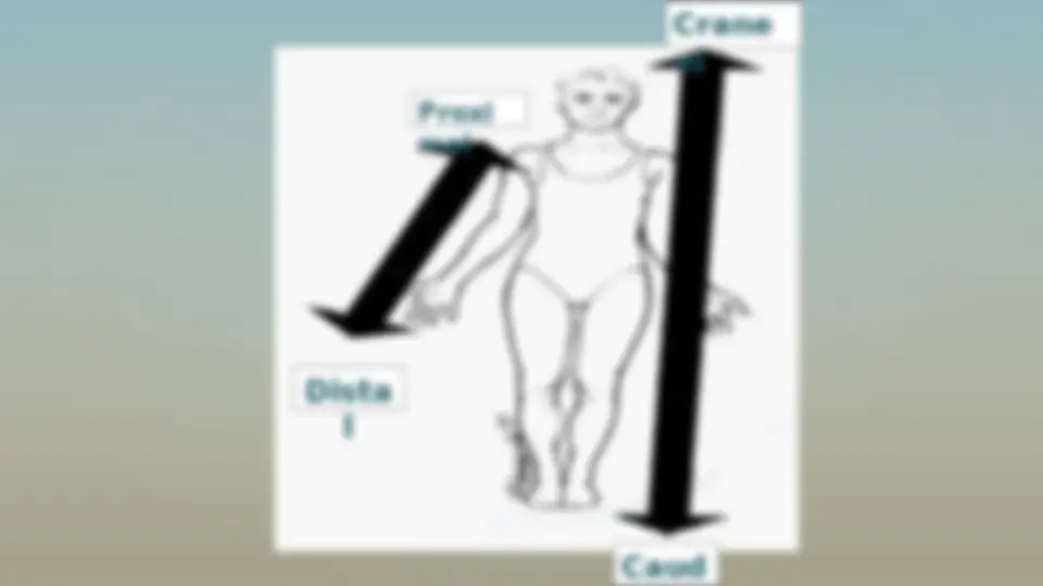 pfe